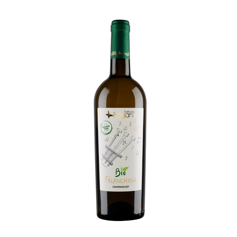 Fattoria Pagano - IGT Campania Organic Falanghina 2021