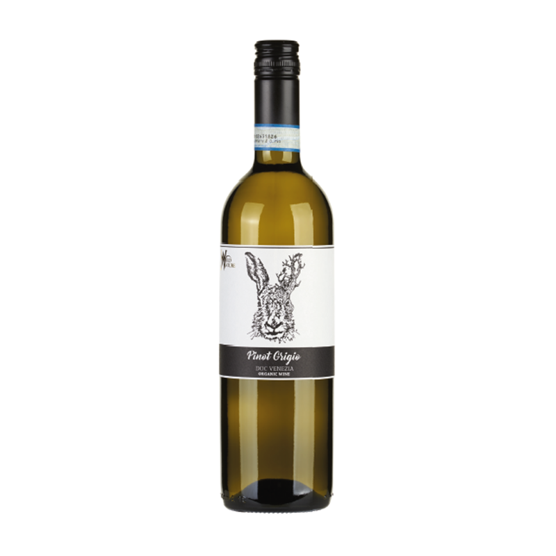 Wild Nature - Pinot Grigio DOC Venezia Bio 2021