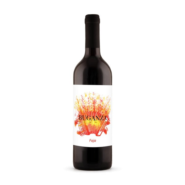 Renato Buganza - DOC Langhe Rosso 'Faja' 2024